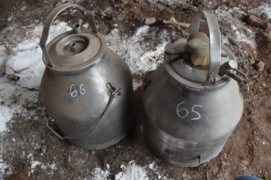 2 Stainless Steel Milk Pails