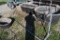 10' Hay Feeder