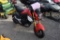2019 Honda Grom Motorcycle