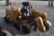 Rayco RG1625A Super Junior Stump Grinder