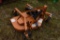 Woods Heritage RDC54 Finish Mower