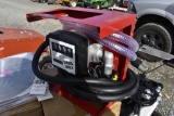 Diesel Fuel Transfer Pump with Meter