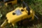 McCulloch 250 Chainsaw