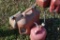 3 Gas Cans