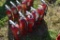 6 Fire Extinguishers