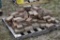 Pallet of Bricks