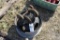 Winch and Truck Rim
