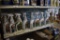 Shelf of RV Cleaner, Wax, Polish