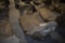 Ranch Hand 2019 Chevrolet 1/2 Ton Summit Front Bumper
