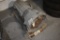 2016 Ford F-250 SD Automatic 6.2L 4WD Transmission