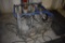 Napa PowerPro Industrial Series Electric Hot Water Pressure Washer
