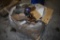 Pallet of CAT Filters and Parts