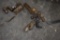 3 Receiver Hitches and One Hitch Insert