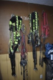 Group of Climbing Harnesses