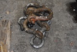 4 Anchor Pin Shackles