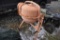 Electric Mortar Mixer