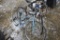 2 Bicycles