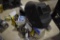 Group of Wiring and Welding Helmet