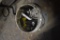 Bucket of Tools