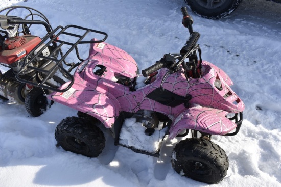 Tao Tao 110 ATV