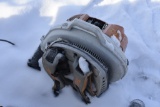 Stihl Backpack Leaf Blower