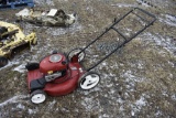 Briggs & Stratton Push Mower