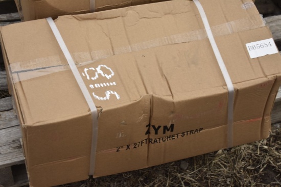 10 Zym 27' x 2" Ratchet Straps