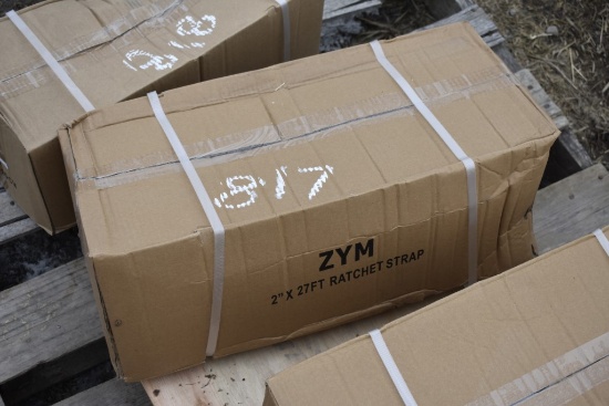 10 Zym 27' x 2" Ratchet Straps
