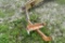 Taylor-Way 3 Point Chisel