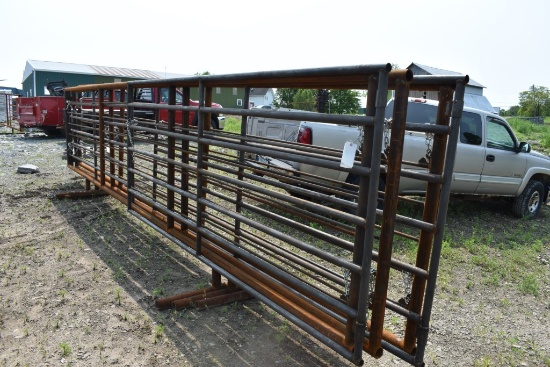 24" x 68"  Corral Panel With 138" Gate