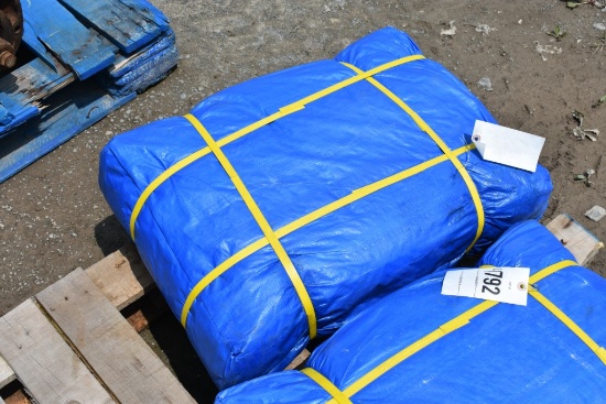 New Tarp
