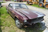 Mustang Car