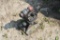 Pintle Hitch with ball