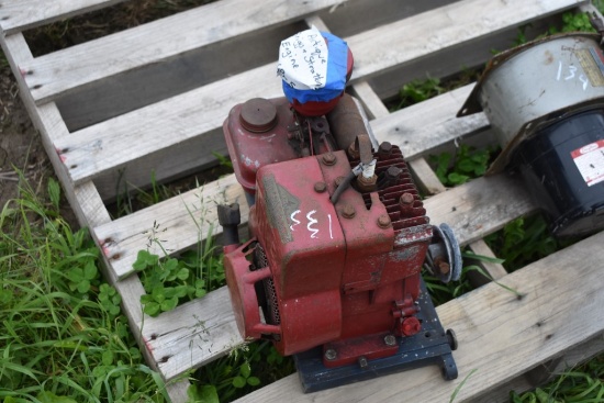 Briggs and Stratton Engine