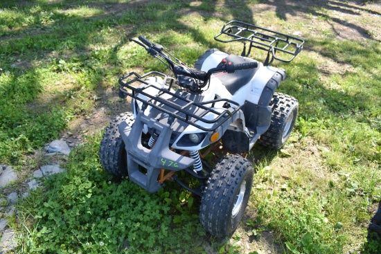 Tao Tao Kids 4-Wheeler