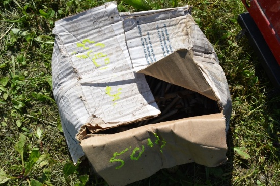Box of Large Nails
