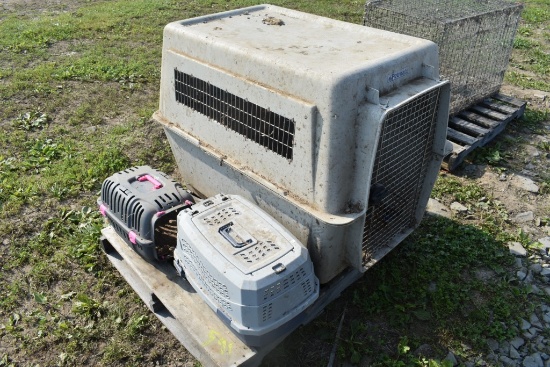 Pallet with Large Pet Crate and 2 Small Pet Crates