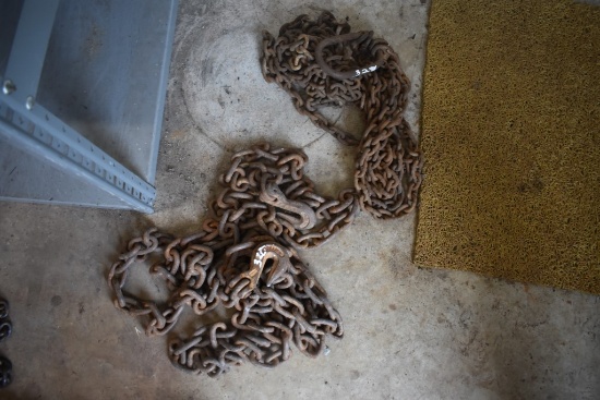 Small 4 Chain Sling, 20' Chain