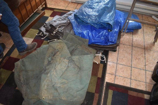 Group of Tarps