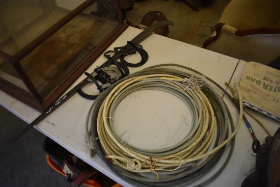 Horse Shoes Scale And Lasso Rope