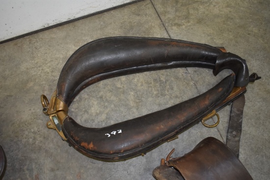 Horse Coller