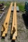 Gorbel 1 ton Gantry Beam with Lodestar 1 ton Electric Chain Hoist
