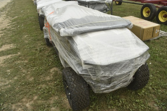 SD Lanch HQ100 6 Person Golf Cart