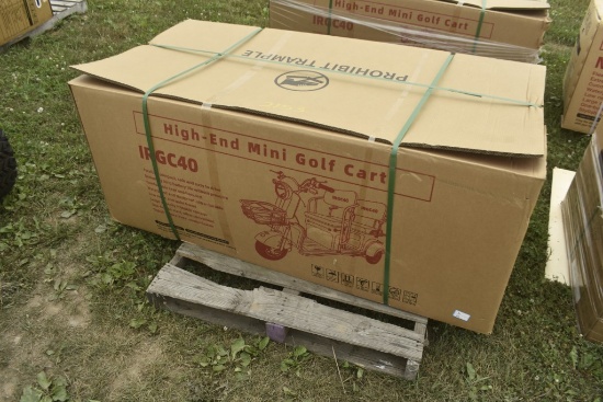 SD Lanch IRGC40 3 Wheel High End Mini Golf Cart