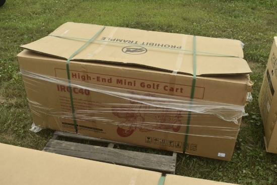 SD Lanch IRGC40 3 Wheel High End Mini Golf Cart