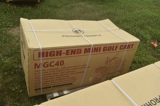 SD Lanch MGC40 3 Wheel High End Mini Golf Cart