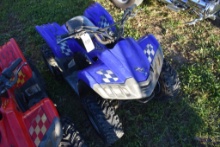 Dinli 502 Kids 4 Wheeler