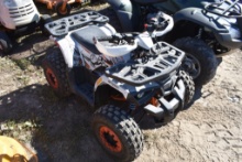 Coleman AT125UT 4 Wheeler