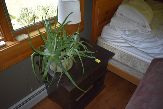 Nightstand with Drawer with Plant and Duck Lamp