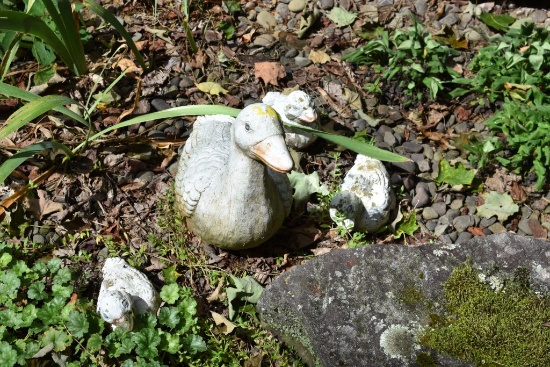Concrete Goose and 3 Goslings and 2 Plaster Leaves